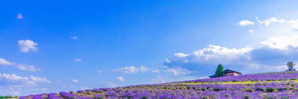 XwsoSu Profile Banner