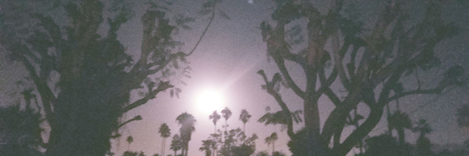 fraunkenstyn's profile banner image