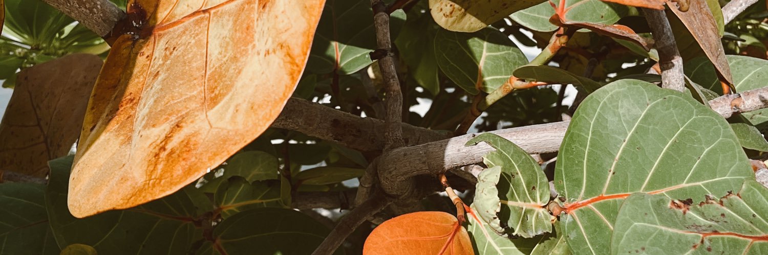 danswthme's profile banner image