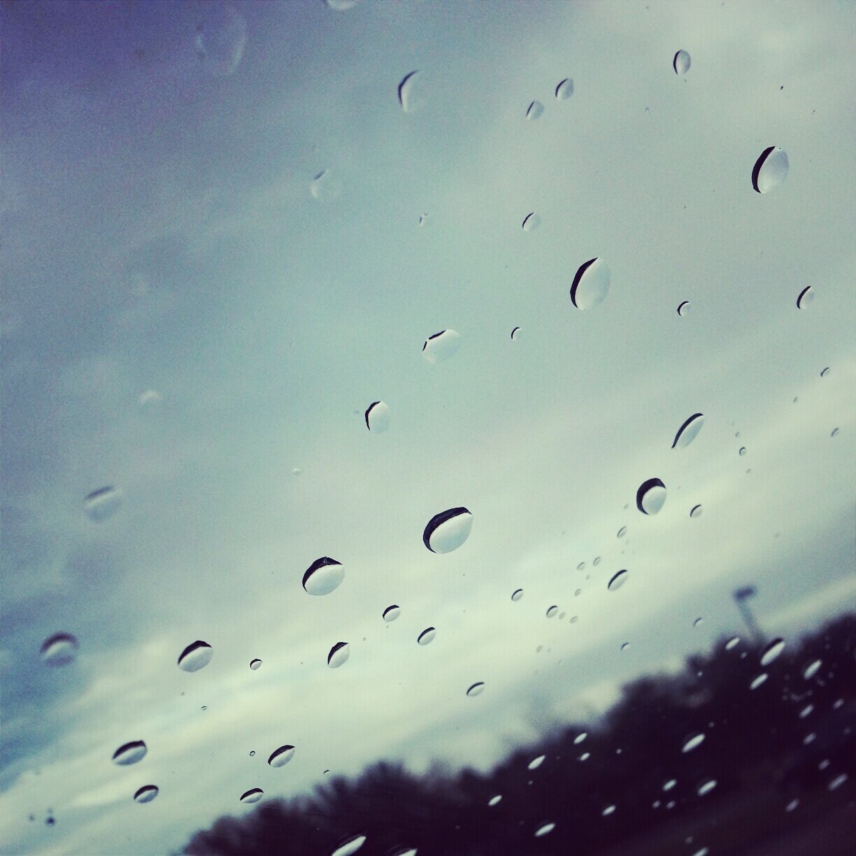 Shalane Danielle banner