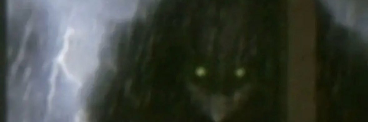 OmniT banner