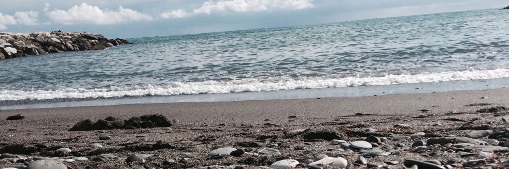 Brandy banner