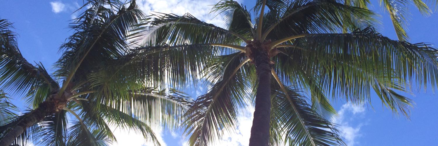 pixieDizzLe619's profile banner image