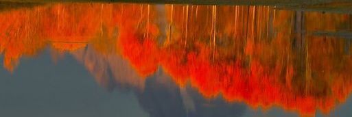 Jeromcornax's profile banner image