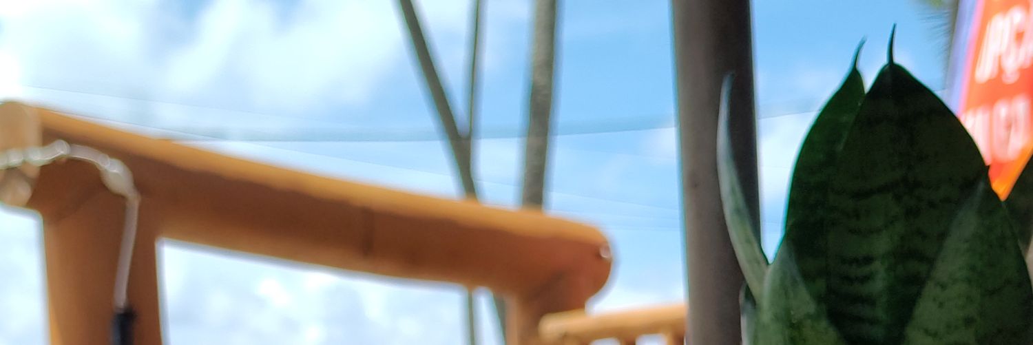 yourselfshine's profile banner image
