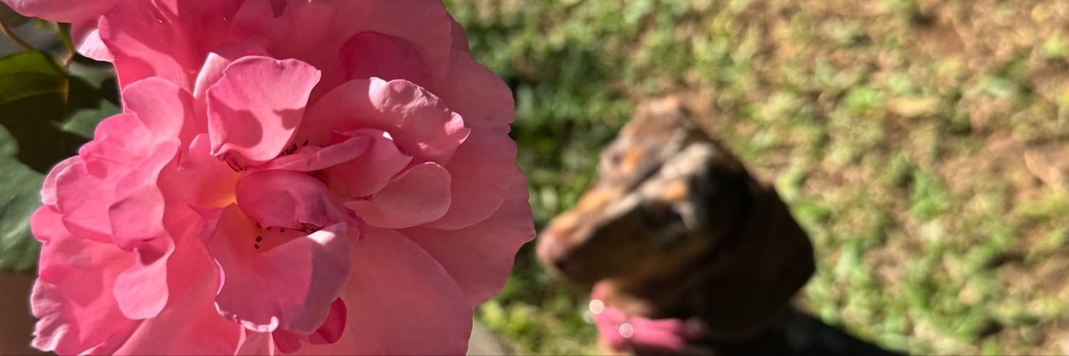 sofiaaxz_'s profile banner image