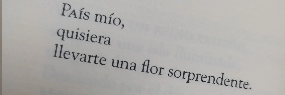 Laura Ramírez banner