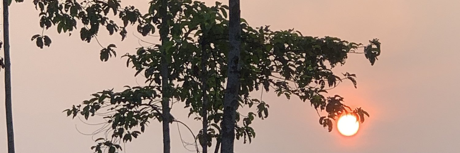 yusuppp banner