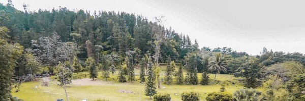GustavoSanchezq Profile Banner