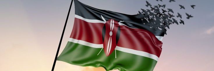 Seth ~ 🇰🇪🇰🇪's banner