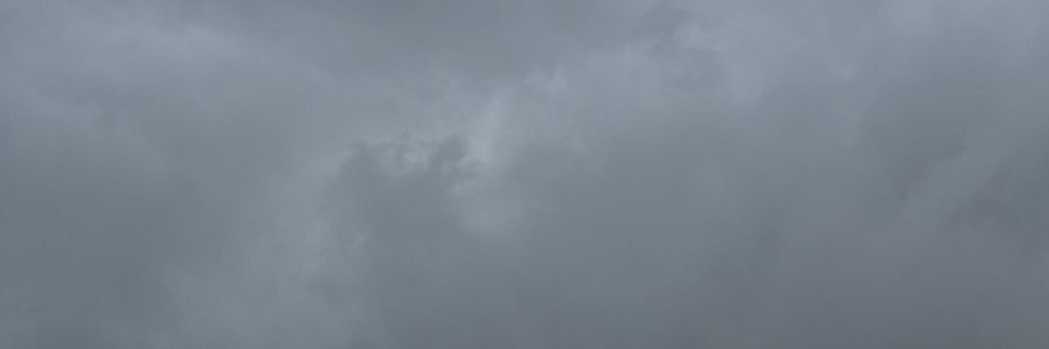 butcher banner