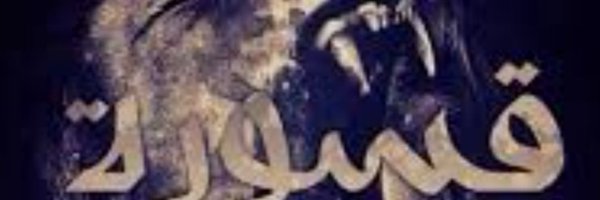 all_n67 Profile Banner