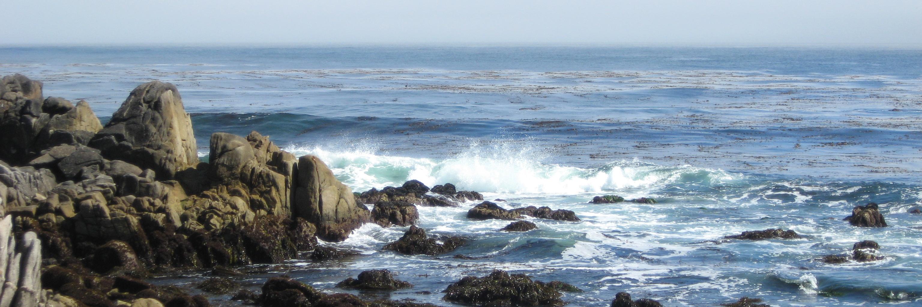 Michiko Martin banner