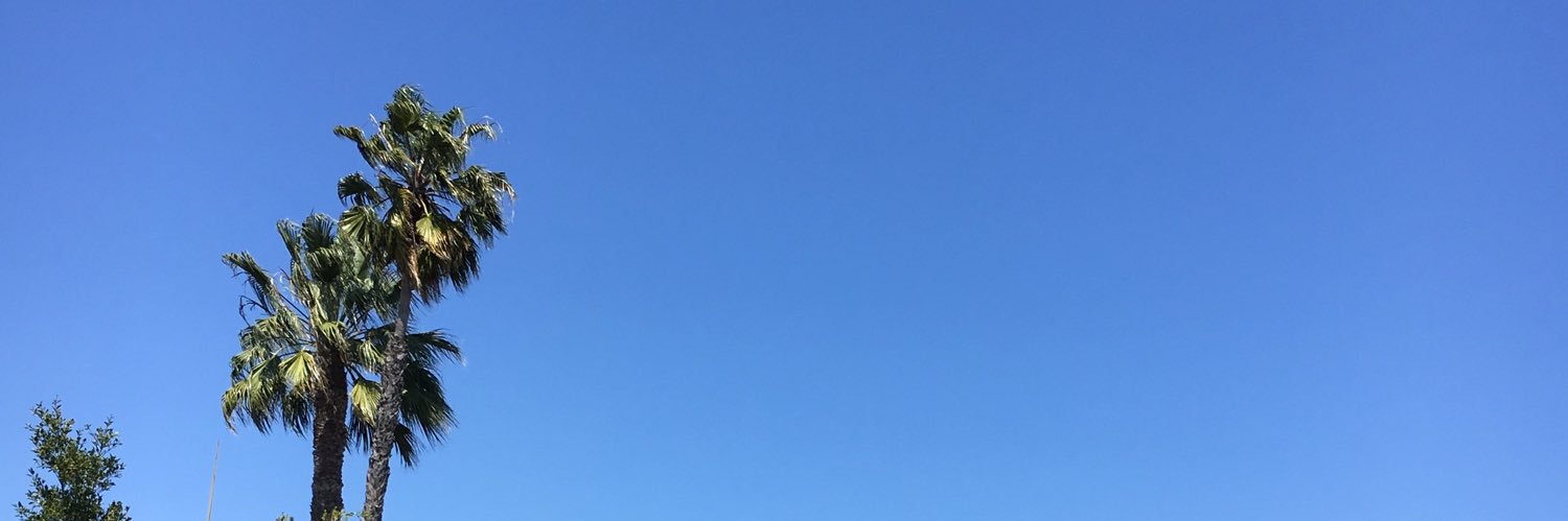 hottroundz's profile banner image