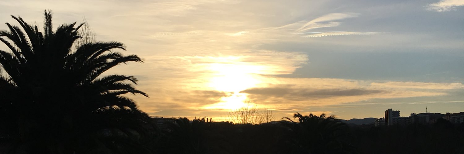 Carlos Belío banner