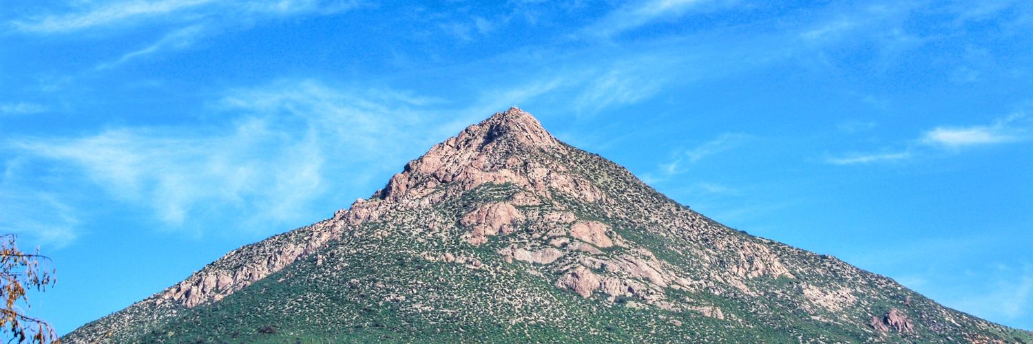Lapenta96's profile banner image