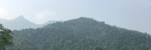 rappin01 Profile Banner