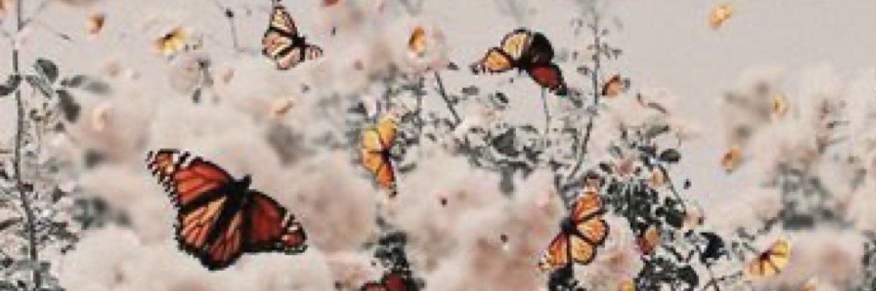 LPillizzi's profile banner image