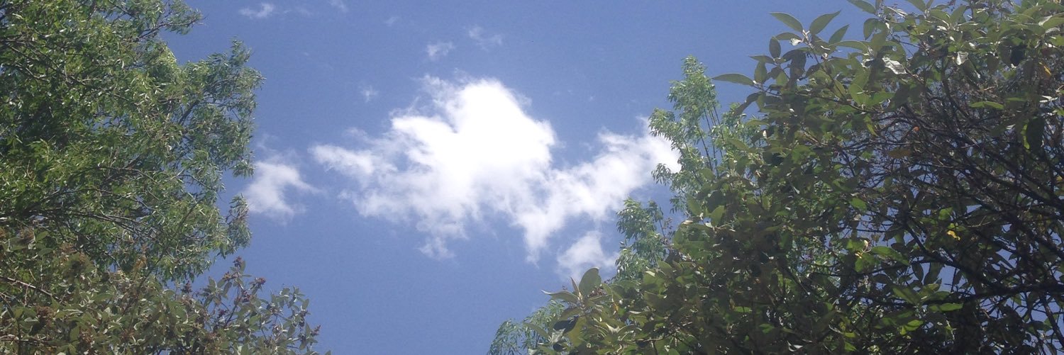 eduvvox's profile banner image