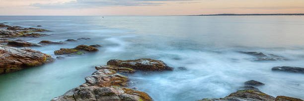 Selkies House banner