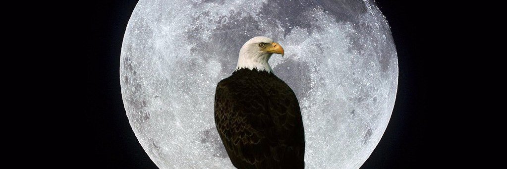 MendezDavid95's profile banner image