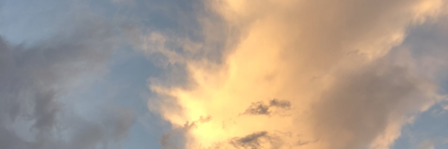 SunaeThomas's profile banner image