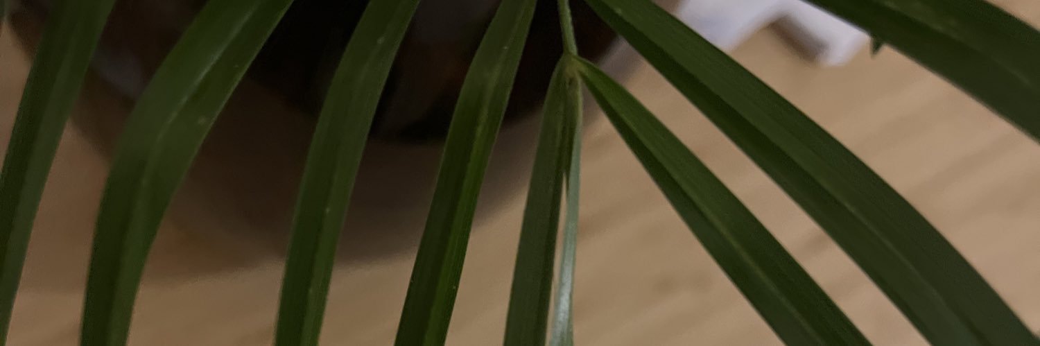 Helie's profile banner image
