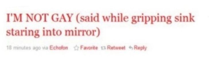 anton's biceps banner