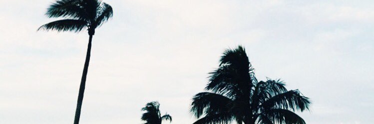 carlspalermo's profile banner image