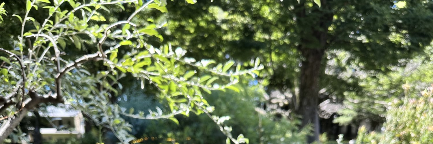 minim042's profile banner image