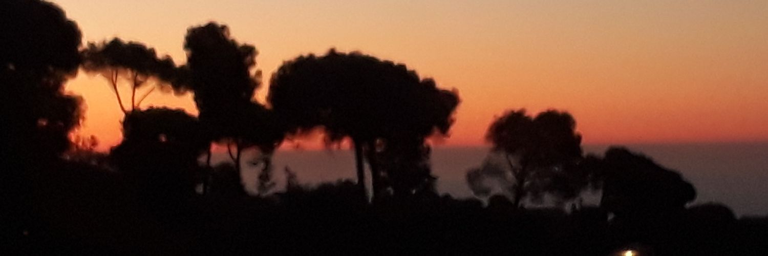 lrafolst's profile banner image