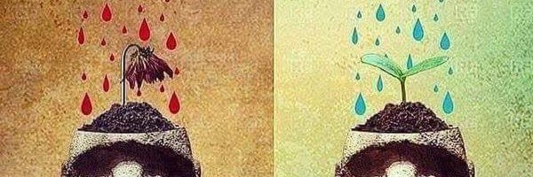 seboervas's profile banner image