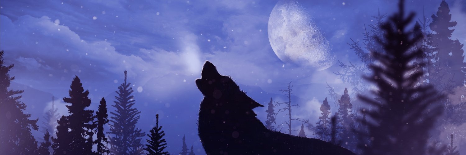 ITWolf12's profile banner image