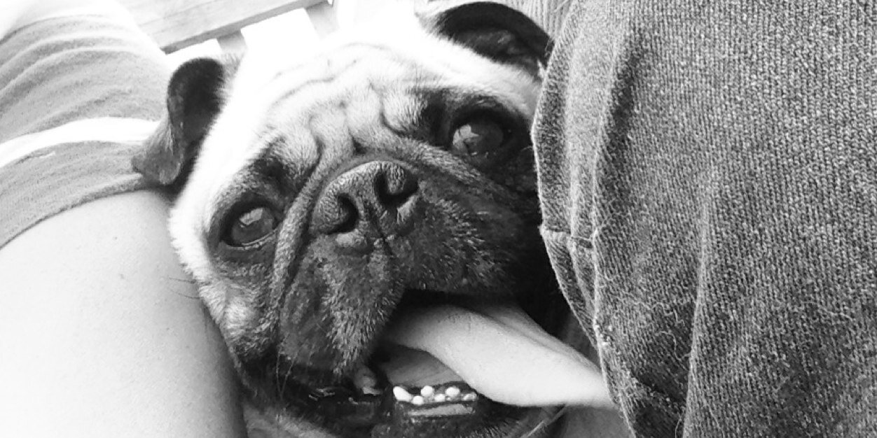 DedamStacy's profile banner image