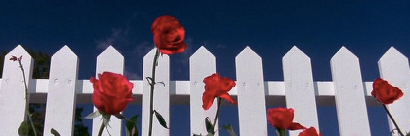 J_Nin247's profile banner image