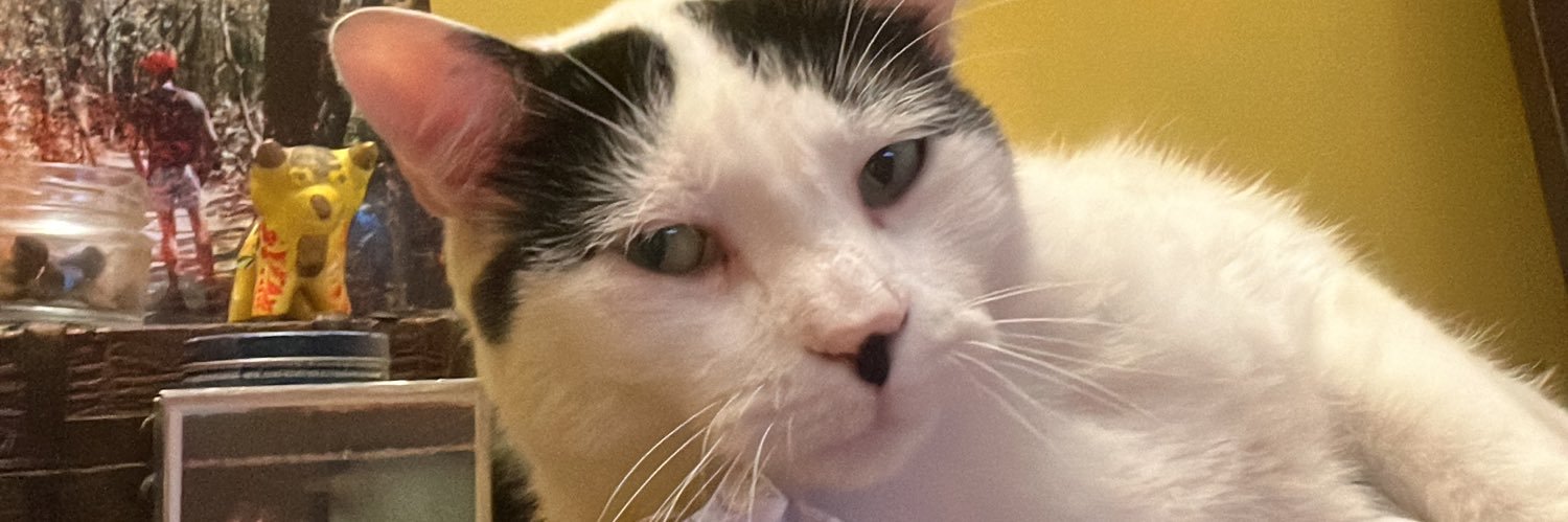 🐾ANDRÉS ✈️  banner