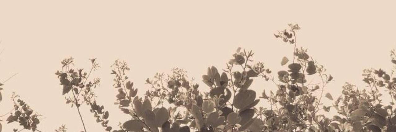 Ma . banner
