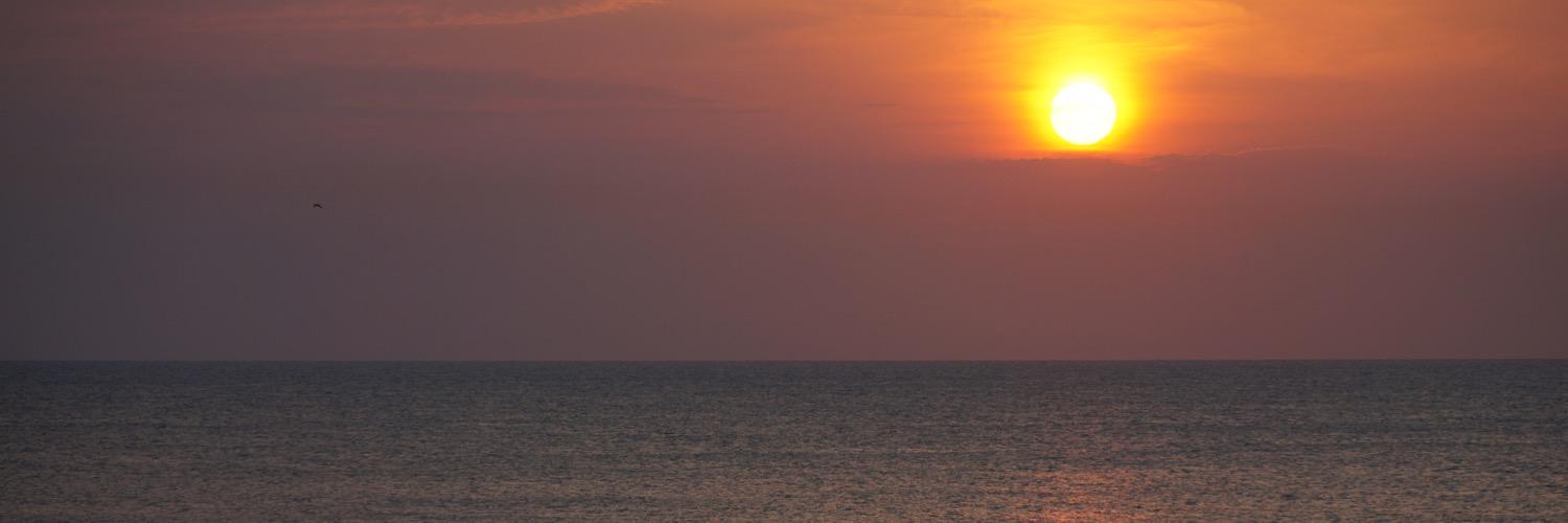 JRoe3's profile banner image