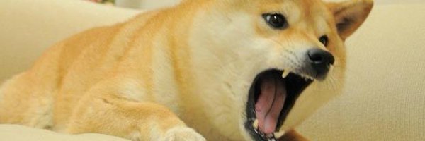 tffg3367 Profile Banner