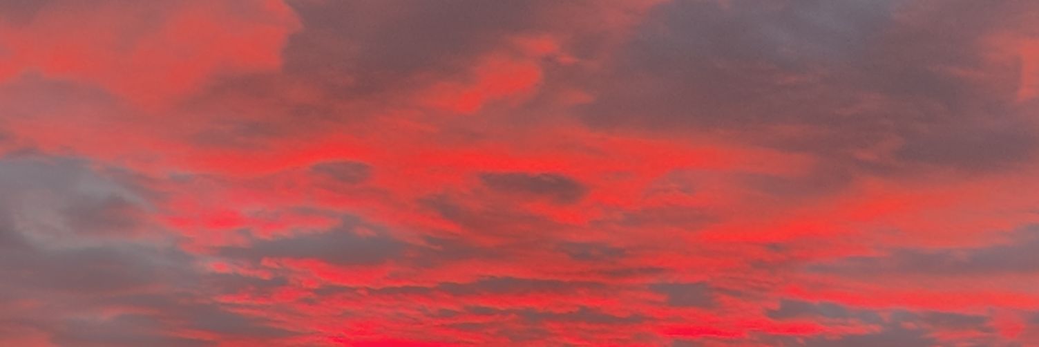 Bountiful Blessings LLC banner