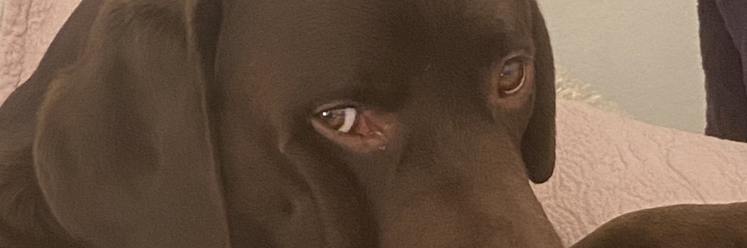 CAOLIN2's profile banner image