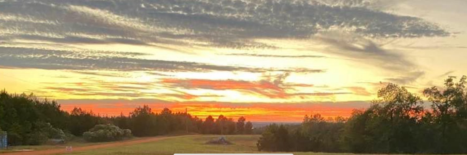 Shiloh Land & Timber banner