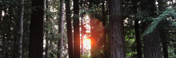 ipstirling Profile Banner