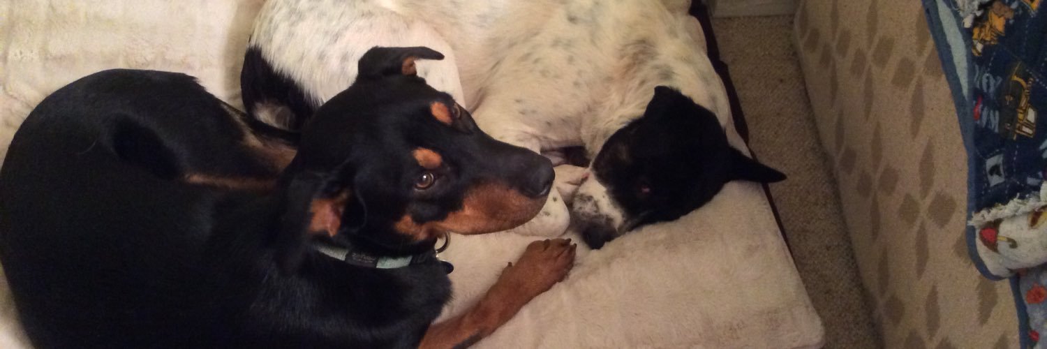 Alexandra Fowler banner