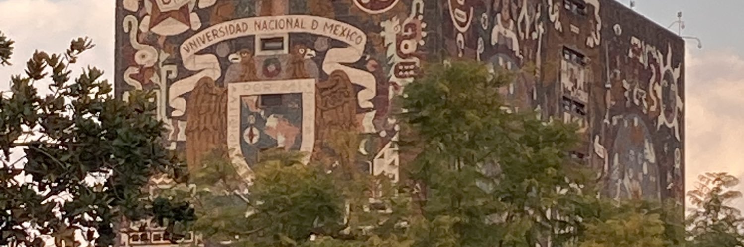 Ricardo Dominguez C banner