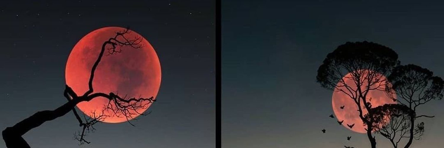 Bryce Beach banner