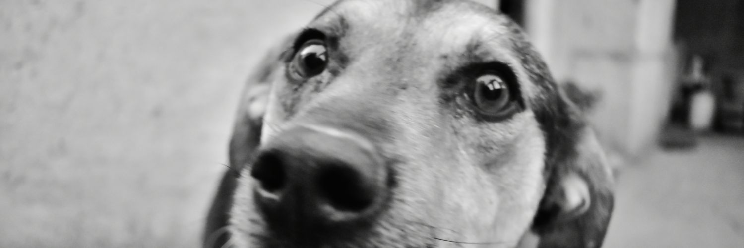 Garcomx's profile banner image
