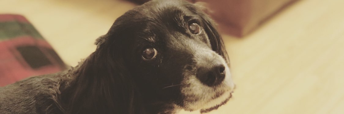 StuffDomDoes's profile banner image