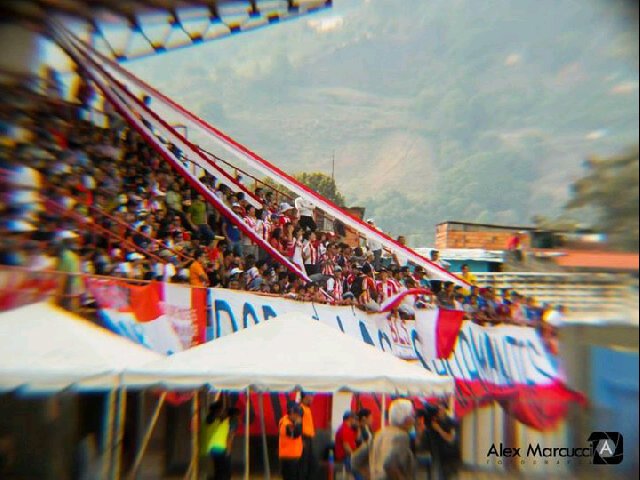 Johan Alejandro banner