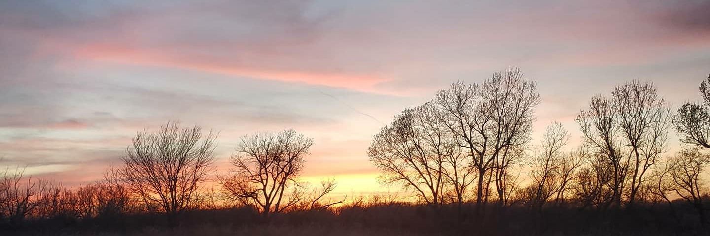 RachelAnne2477's profile banner image